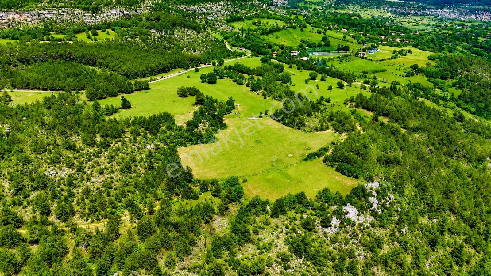 Kastamonu Araç Sofçular'da Çevresi Orman 11.500 M² Satılık Arazi — fotoğraf 6
