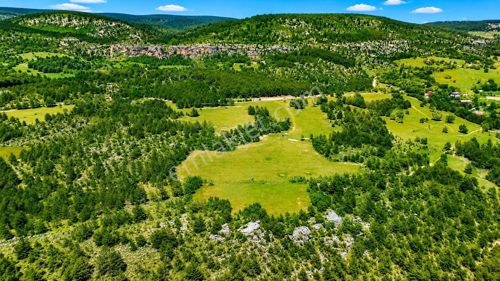 Kastamonu Araç Sofçular'da Çevresi Orman 11.500 M² Satılık Arazi — fotoğraf 7