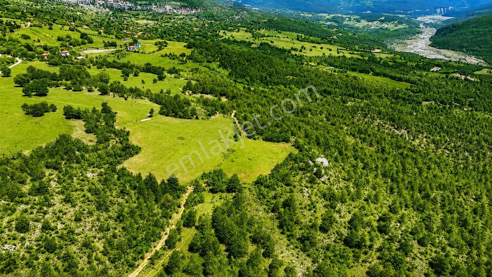 Kastamonu Araç Sofçular'da Çevresi Orman 11.500 M² Satılık Arazi — fotoğraf 8