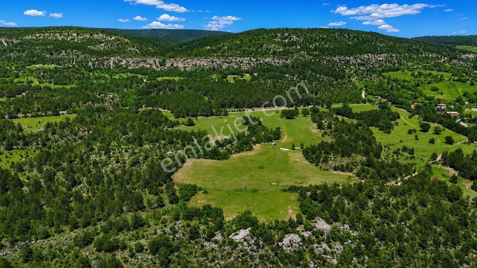 Kastamonu Araç Sofçular'da Çevresi Orman 11.500 M² Satılık Arazi — fotoğraf 9