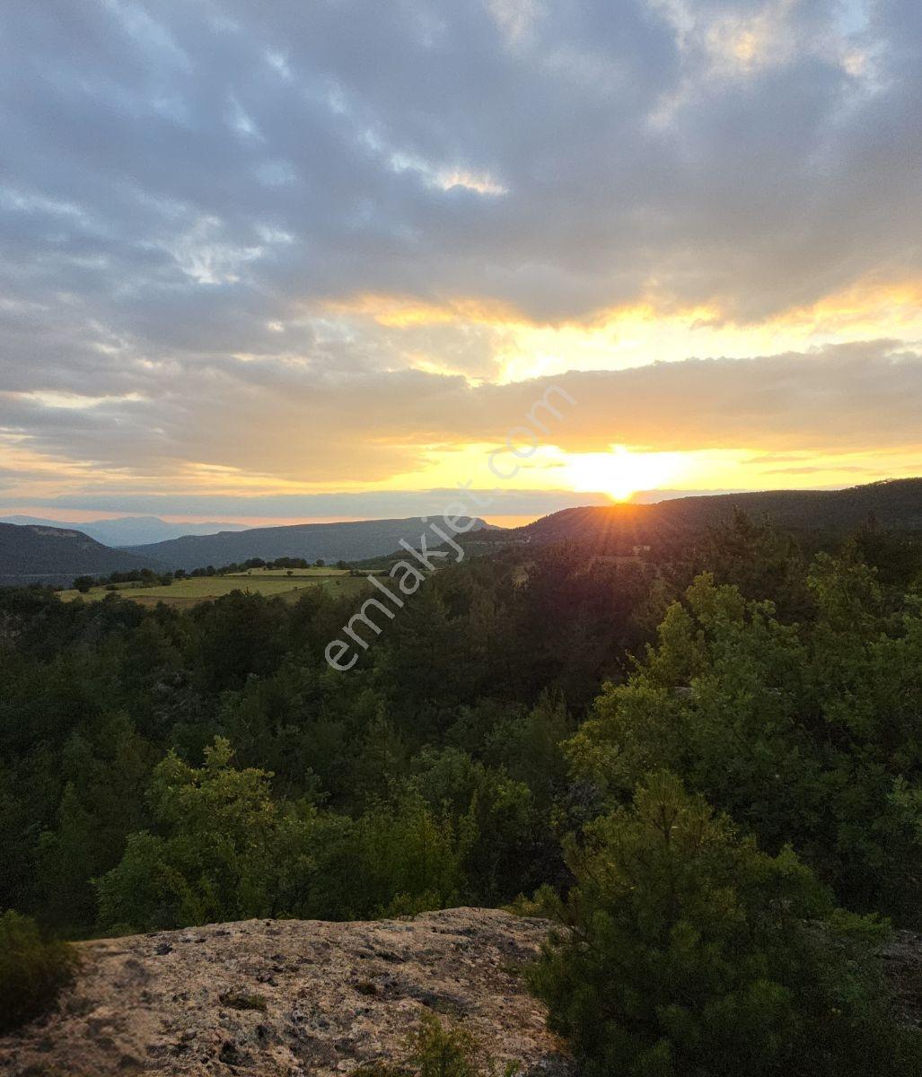 Kastamonu Araç Sofçular'da Çevresi Orman 11.500 M² Satılık Arazi — fotoğraf 14