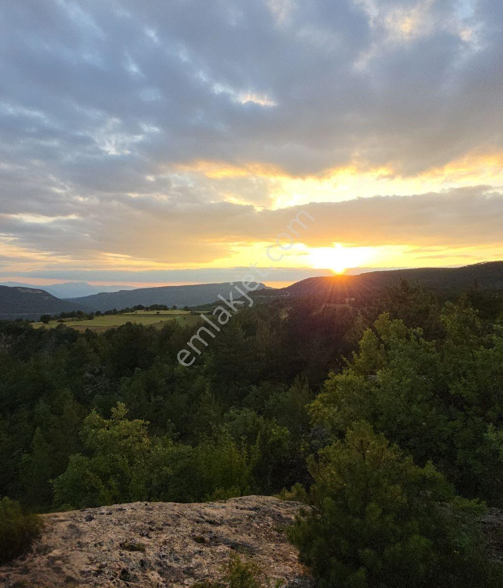 Kastamonu Araç Sofçular'da Çevresi Orman 11.500 M² Satılık Arazi — fotoğraf 15