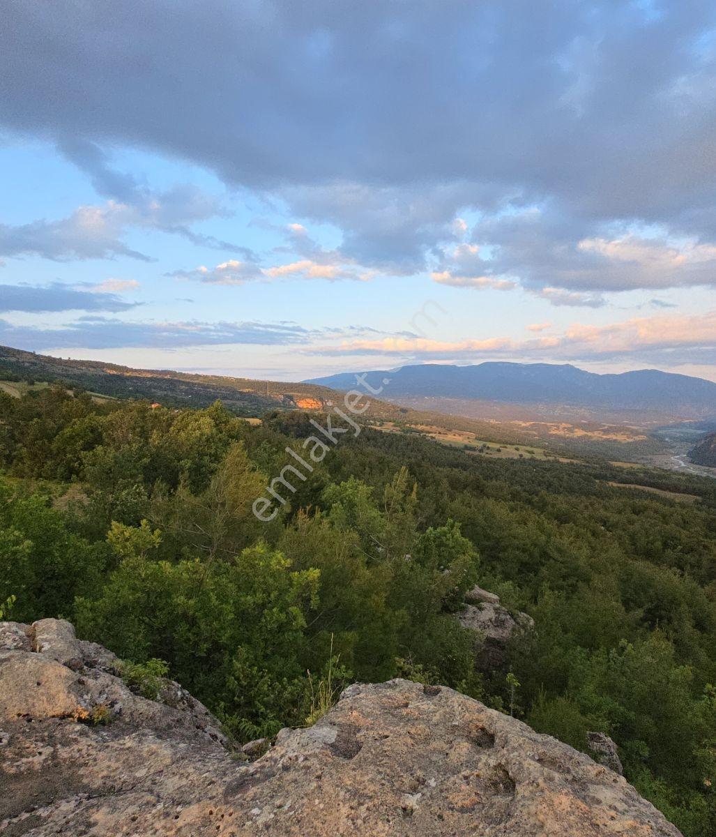 Kastamonu Araç Sofçular'da Çevresi Orman 11.500 M² Satılık Arazi — fotoğraf 18