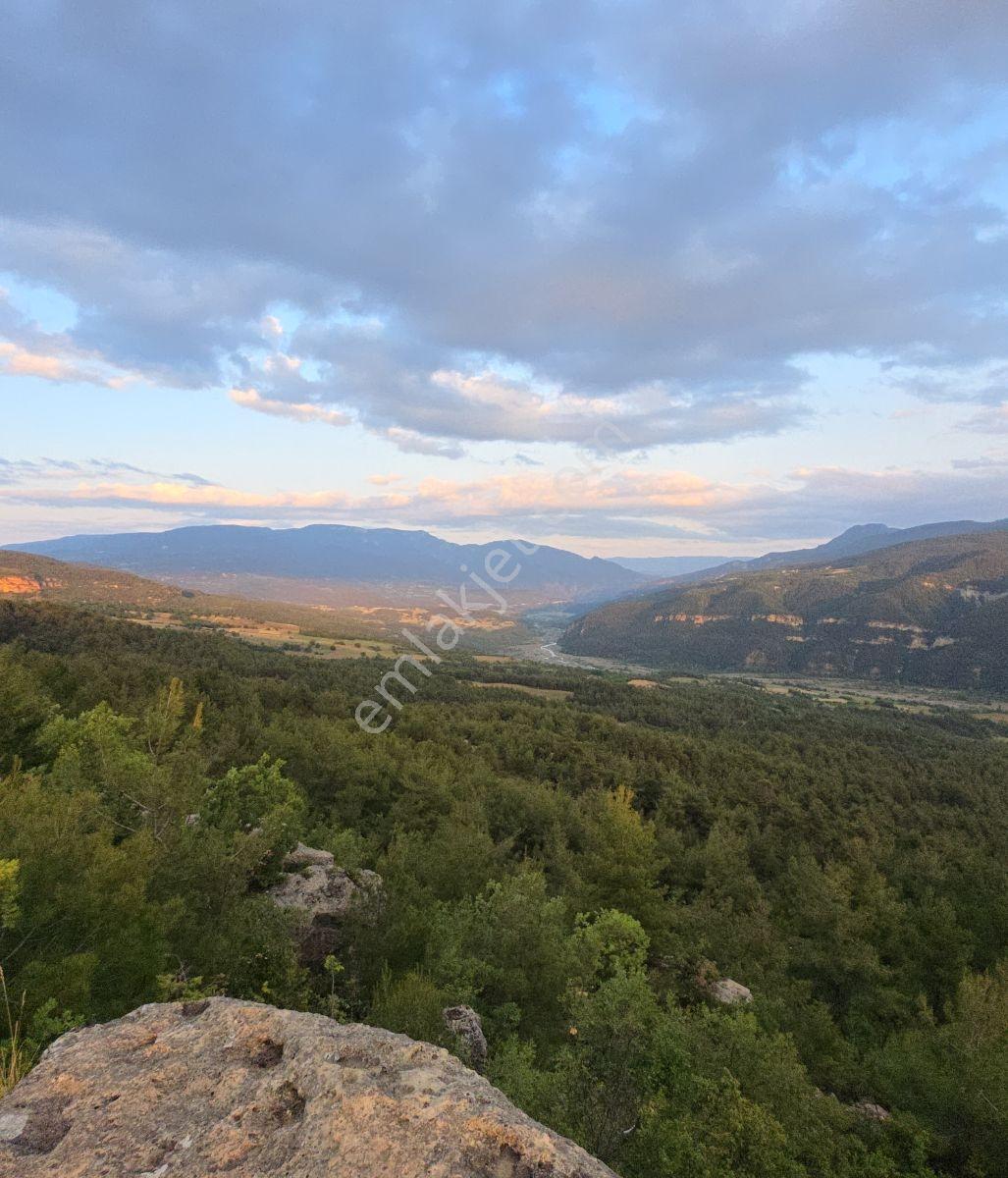 Kastamonu Araç Sofçular'da Çevresi Orman 11.500 M² Satılık Arazi — fotoğraf 19