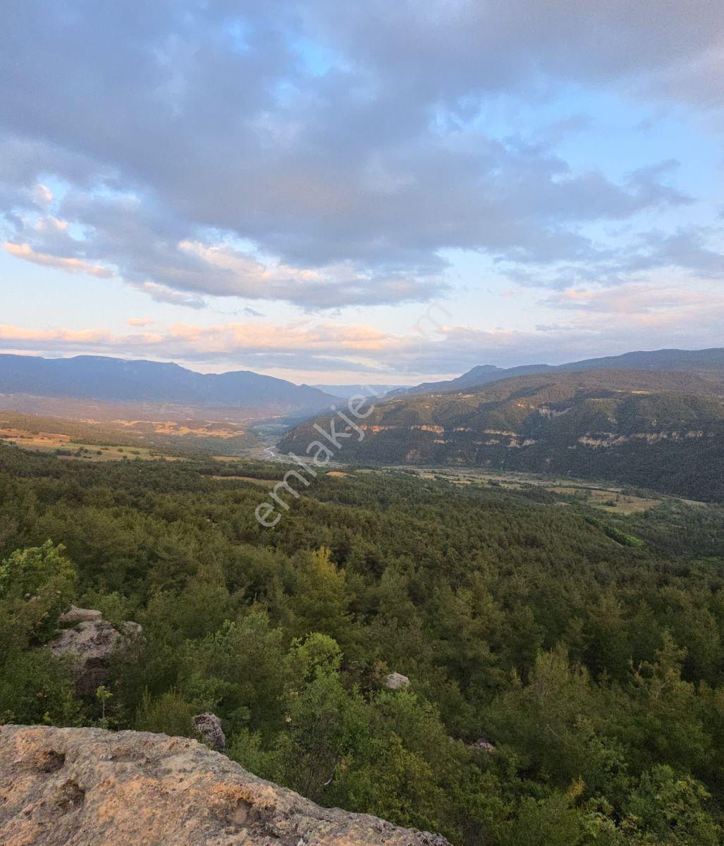 Kastamonu Araç Sofçular'da Çevresi Orman 11.500 M² Satılık Arazi — fotoğraf 20