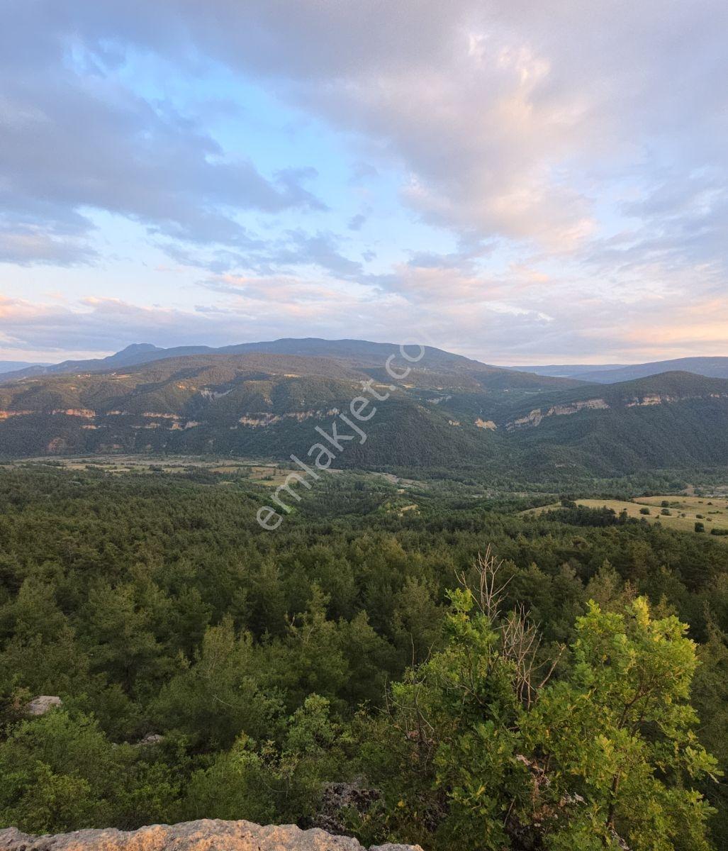 Kastamonu Araç Sofçular'da Çevresi Orman 11.500 M² Satılık Arazi — fotoğraf 21