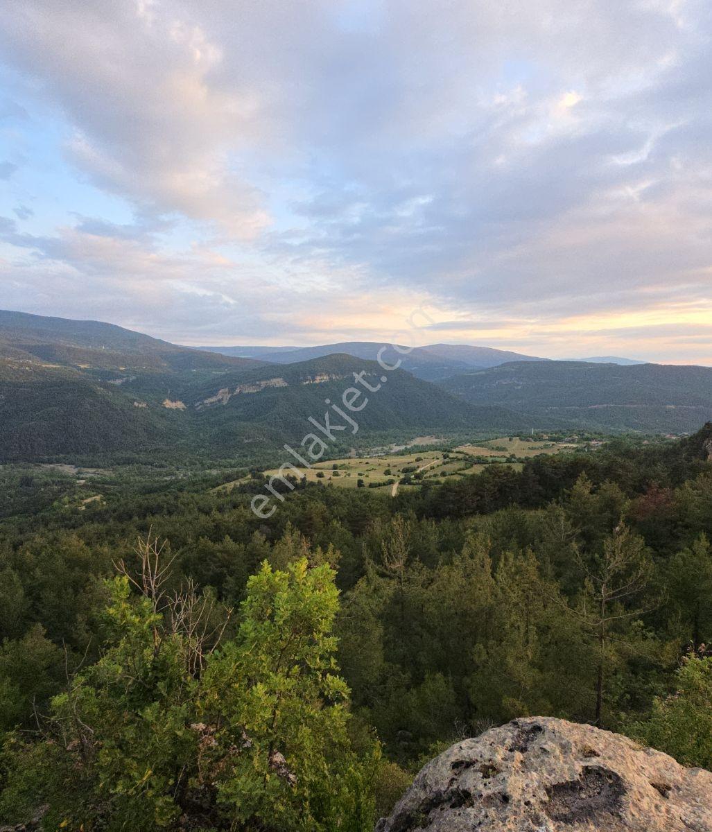 Kastamonu Araç Sofçular'da Çevresi Orman 11.500 M² Satılık Arazi — fotoğraf 22