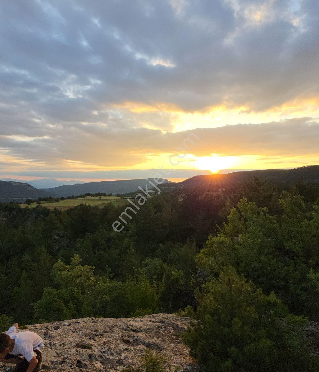 Kastamonu Araç Sofçular'da Çevresi Orman 11.500 M² Satılık Arazi — fotoğraf 24