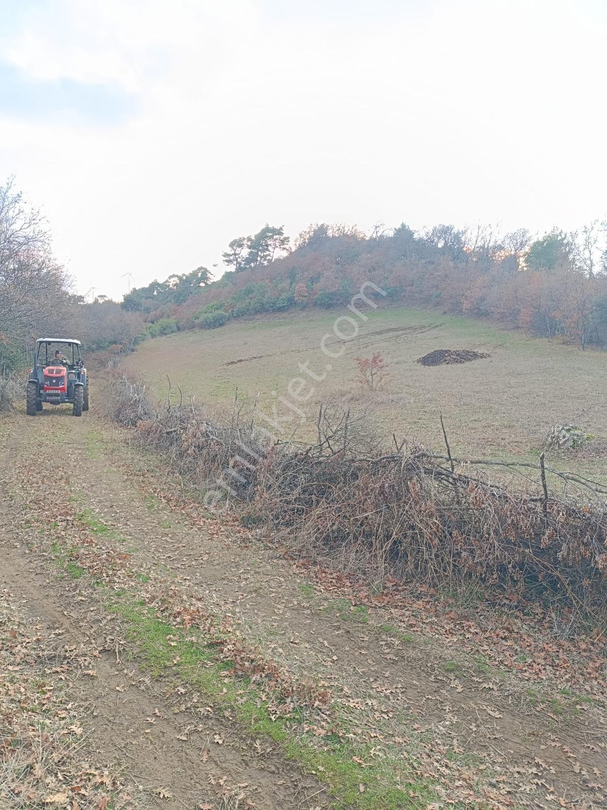 Çanakkale Lapseki'de Yatırımlık 2.701,15m2lik Fırsat Tarla — fotoğraf 2