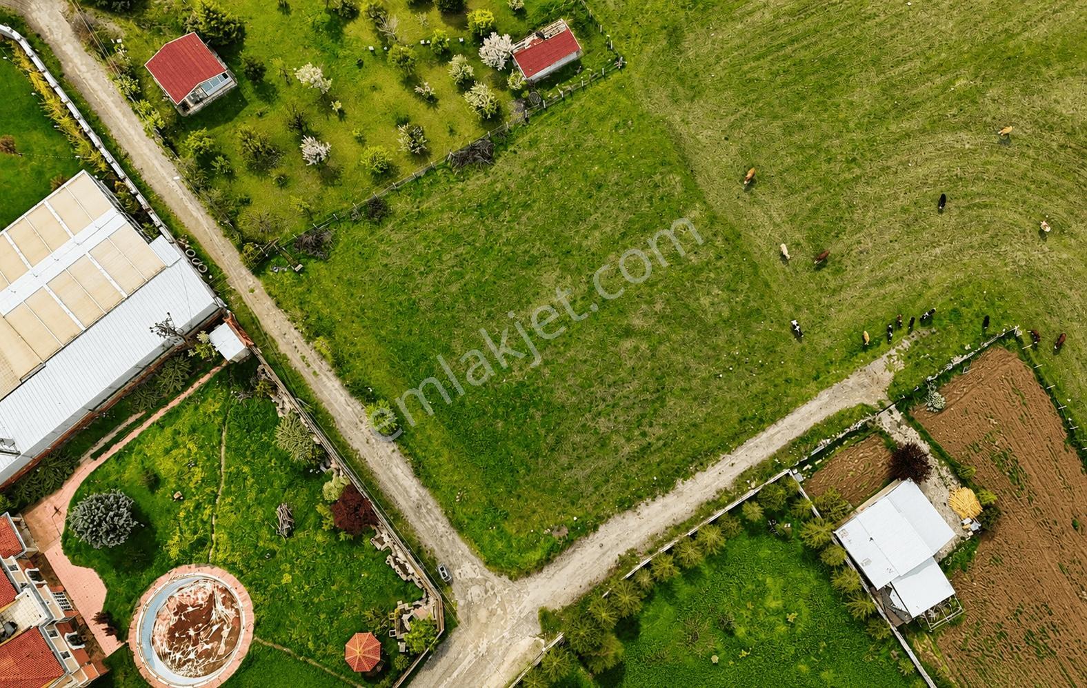 Gölbaşı Bahçelievler'de 1500 M² Köşe Parsel Satılık Villa Arsası — fotoğraf 5