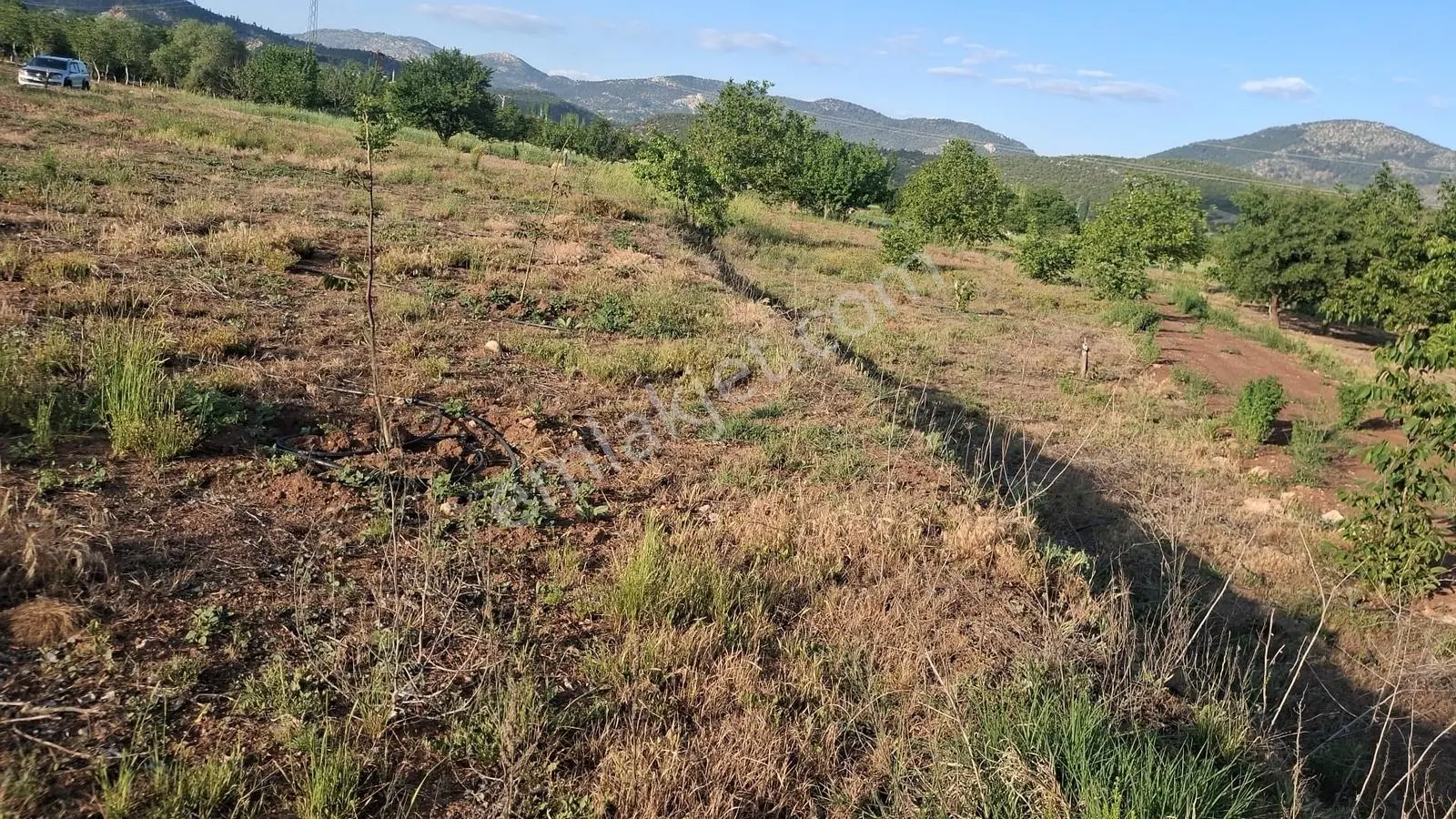 Denizli Çameli Belevi Satılık Tarla — fotoğraf 3