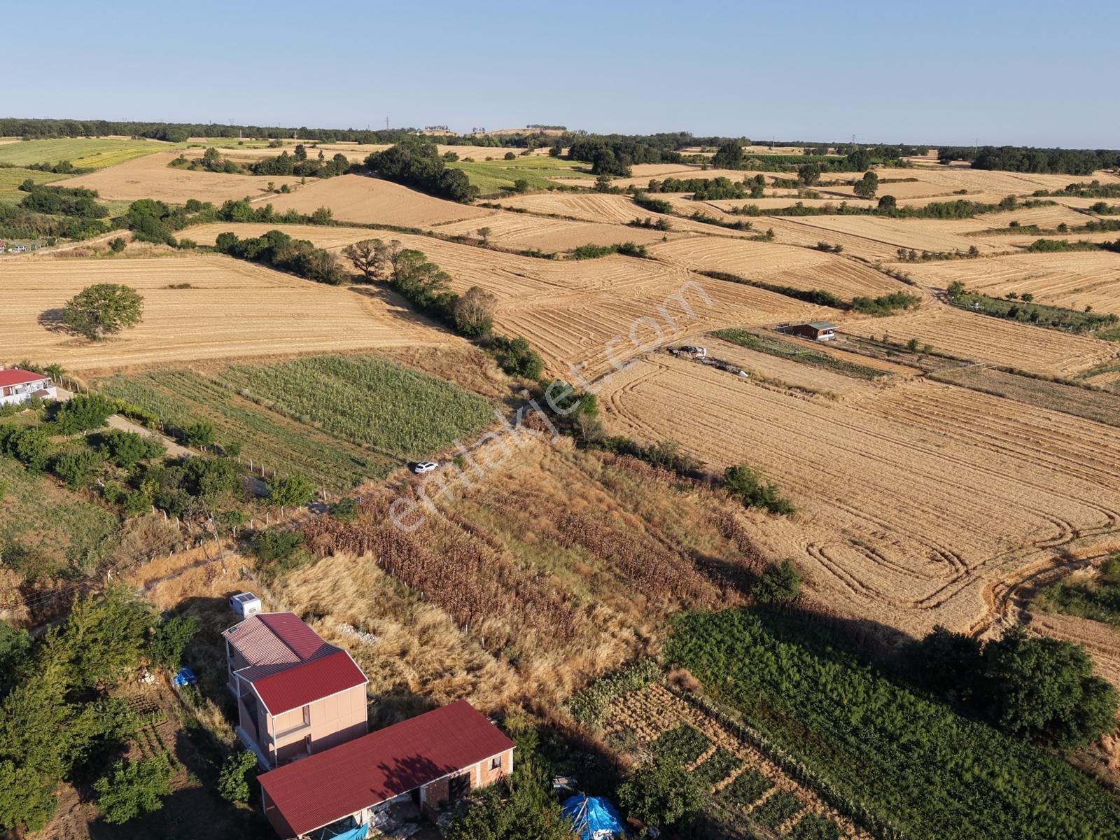 Pınarhisar Poyralı'da 1.000 M2 Müstakil Tek Tapu Satılık Arsa — fotoğraf 8