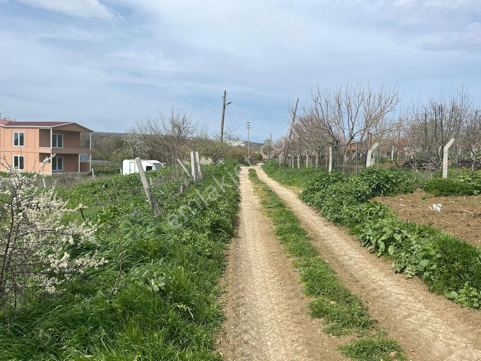 Pınarhisar Poyralı'da 1.000 M2 Müstakil Tek Tapu Satılık Arsa — fotoğraf 15