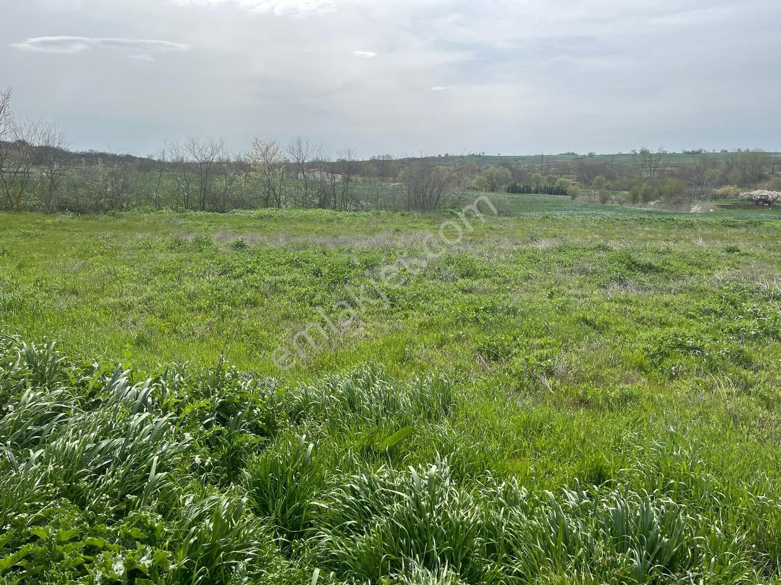 Pınarhisar Poyralı'da 1.000 M2 Müstakil Tek Tapu Satılık Arsa — fotoğraf 16