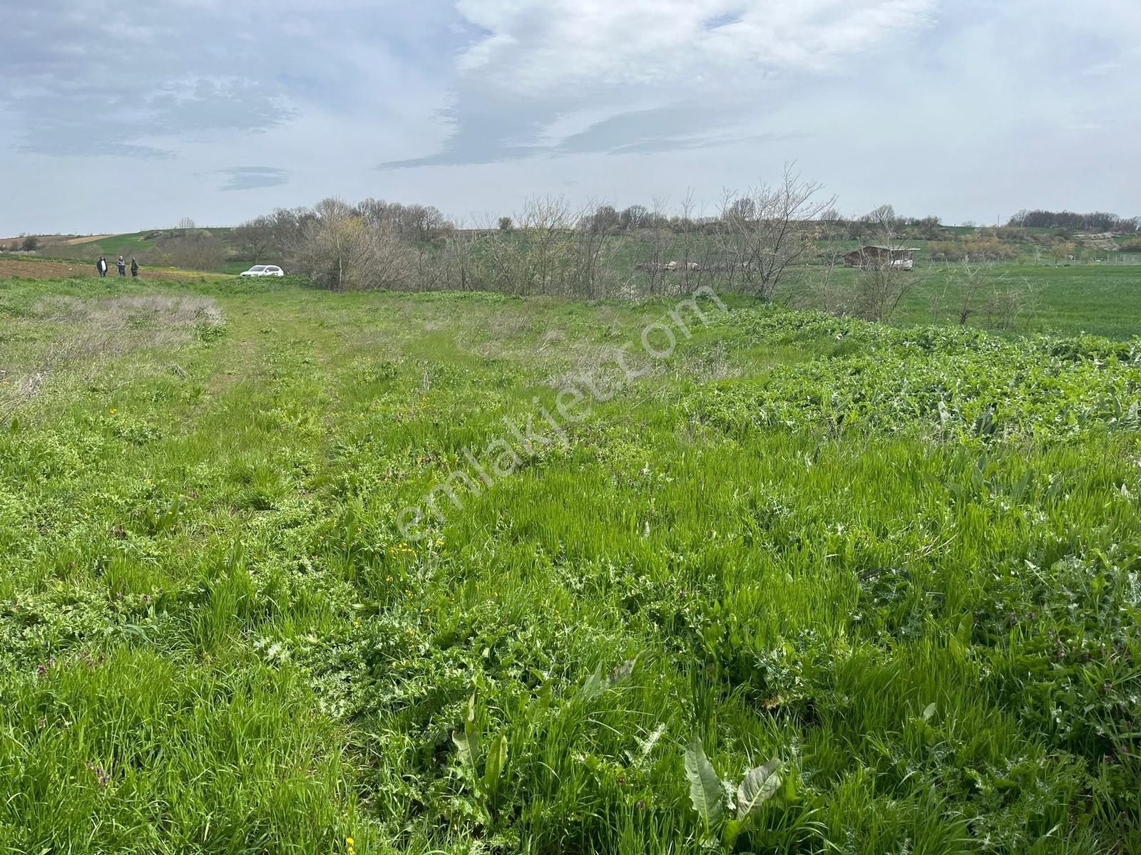 Pınarhisar Poyralı'da 1.000 M2 Müstakil Tek Tapu Satılık Arsa — fotoğraf 20