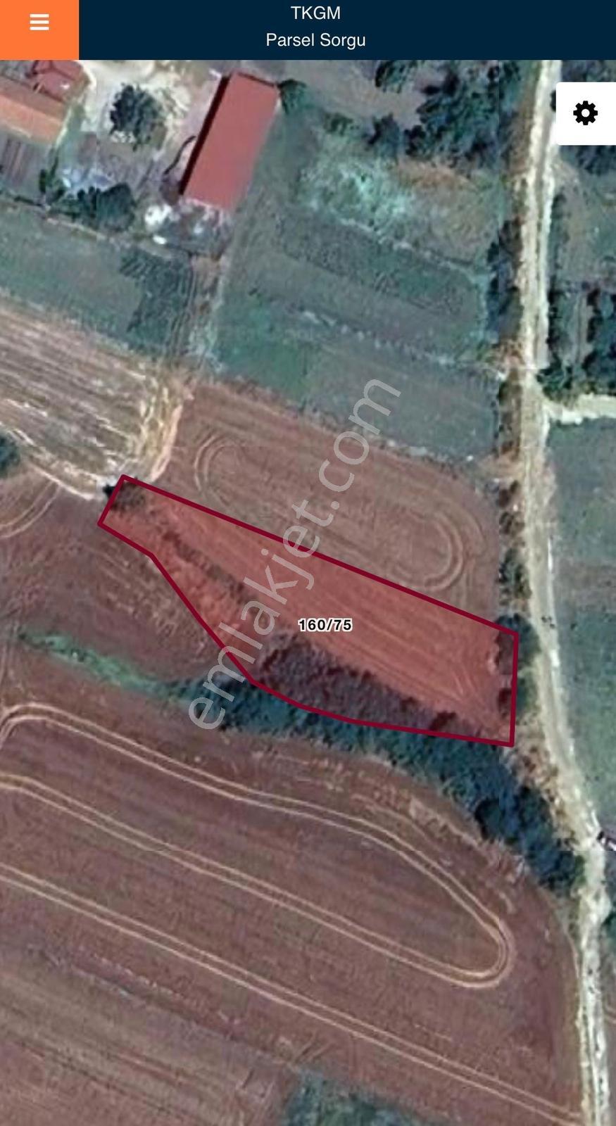 Pınarhisar Poyralı'da 1.000 M2 Müstakil Tek Tapu Satılık Arsa — fotoğraf 23