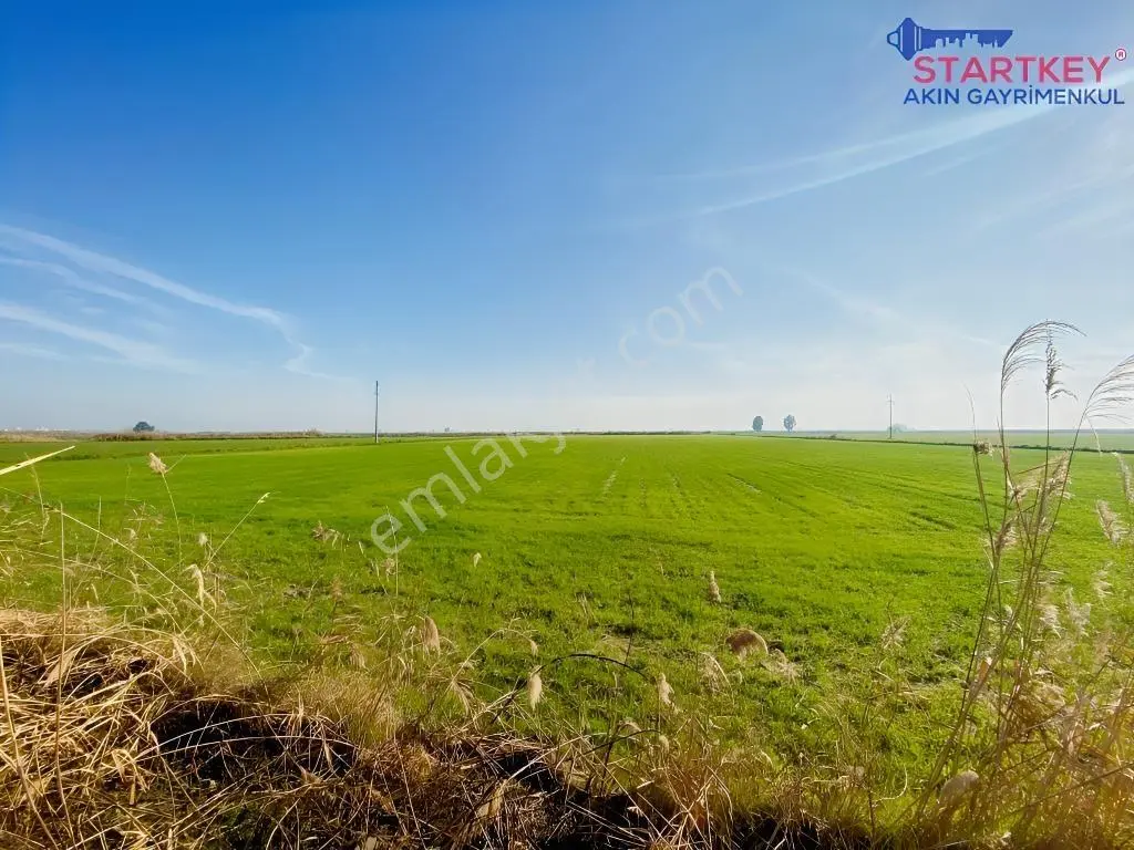 Foça Yenibağarası Yerleşim Yerine Yakın Satılık Tarla — fotoğraf 27
