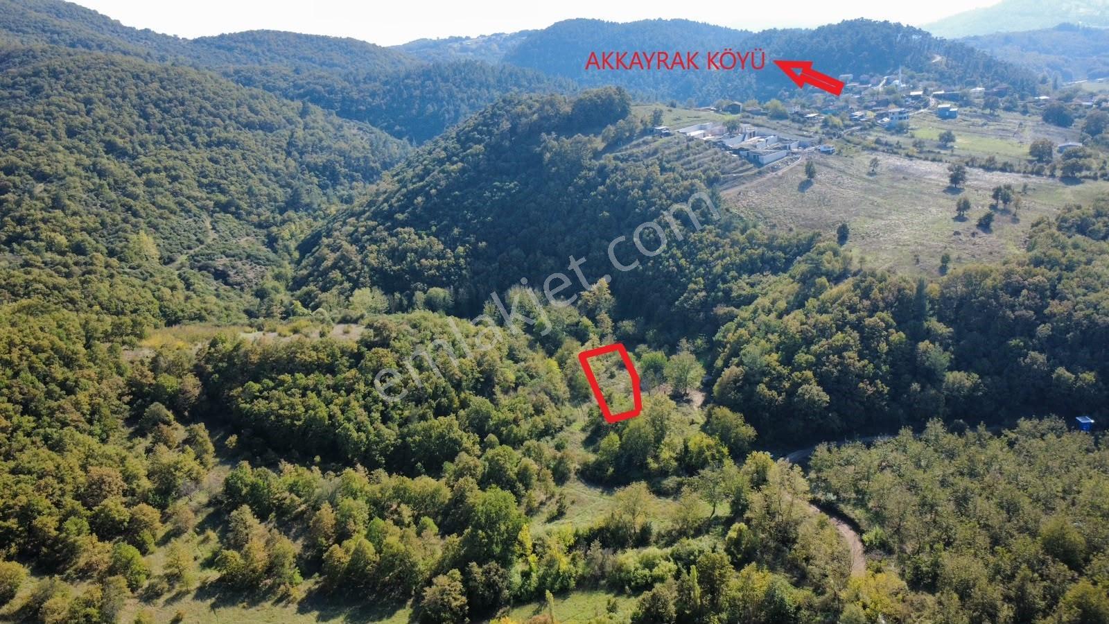 Akkayrak Köyü Satılık Bahçe — fotoğraf 2