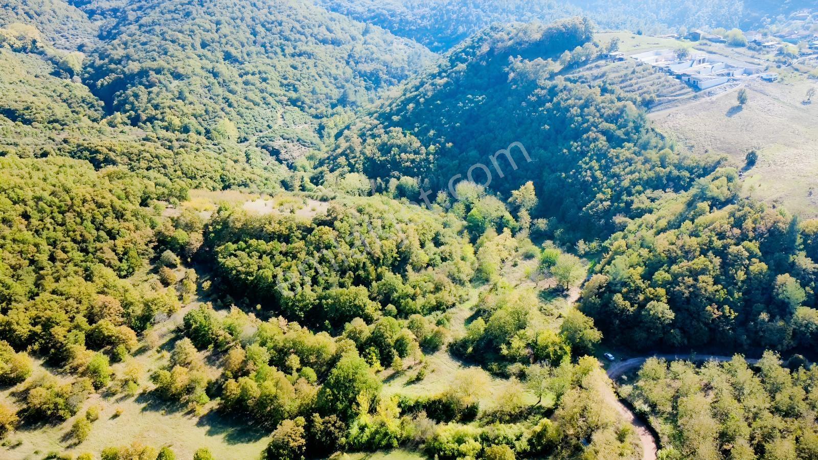 Akkayrak Köyü Satılık Bahçe — fotoğraf 7