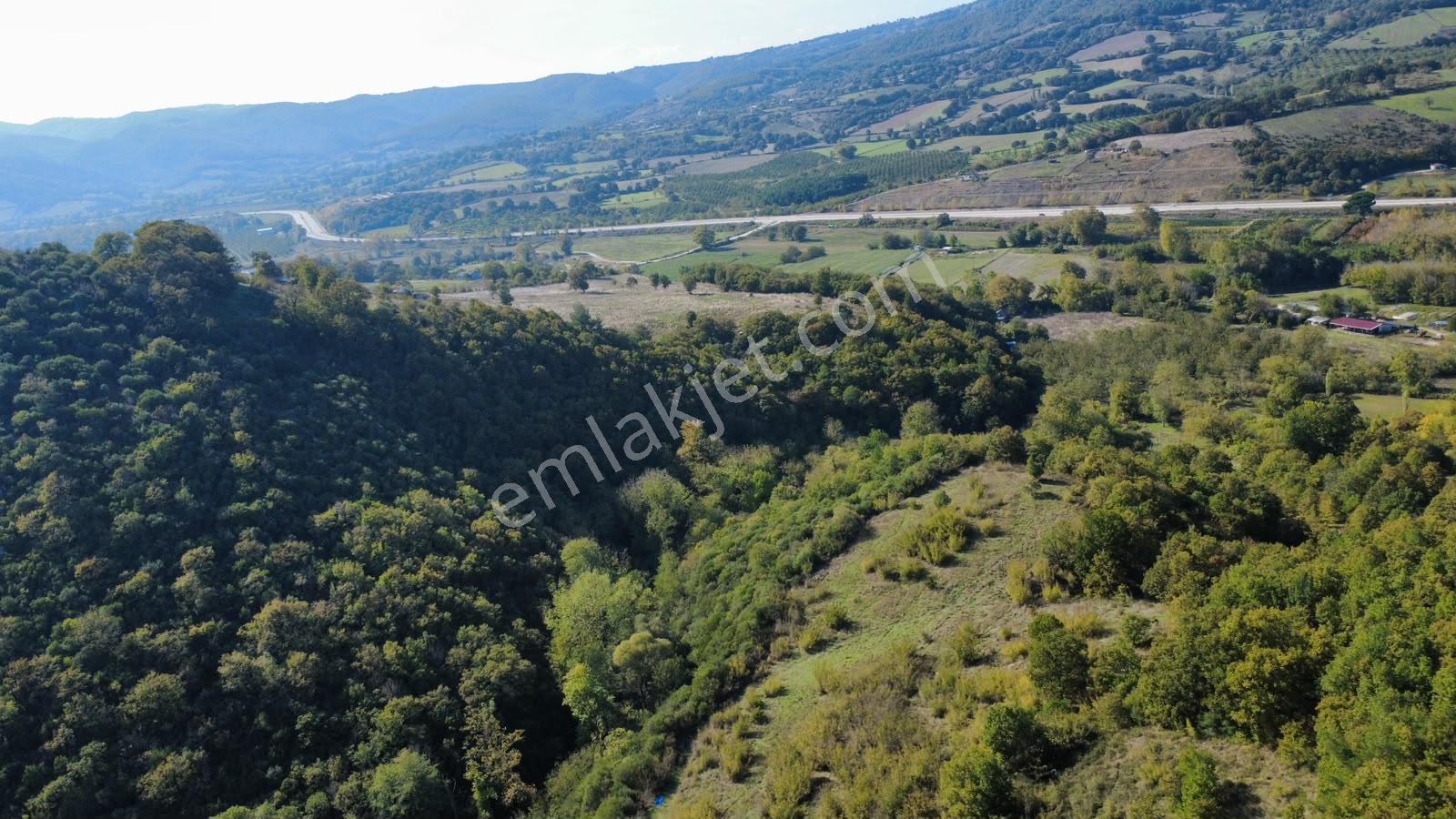Akkayrak Köyü Satılık Bahçe — fotoğraf 8