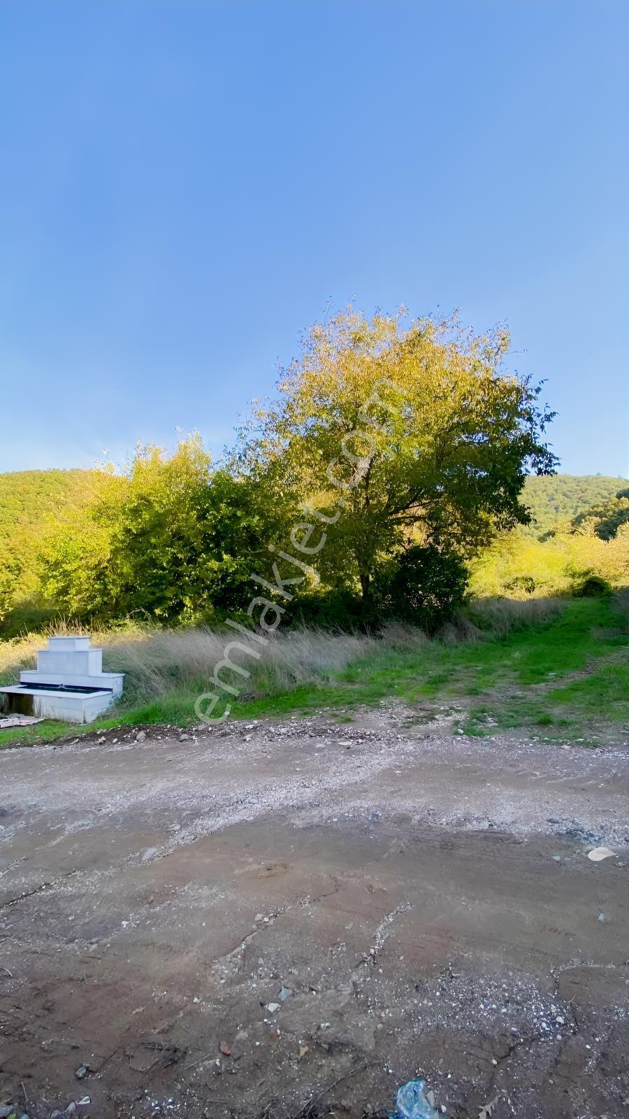 Akkayrak Köyü Satılık Bahçe — fotoğraf 13