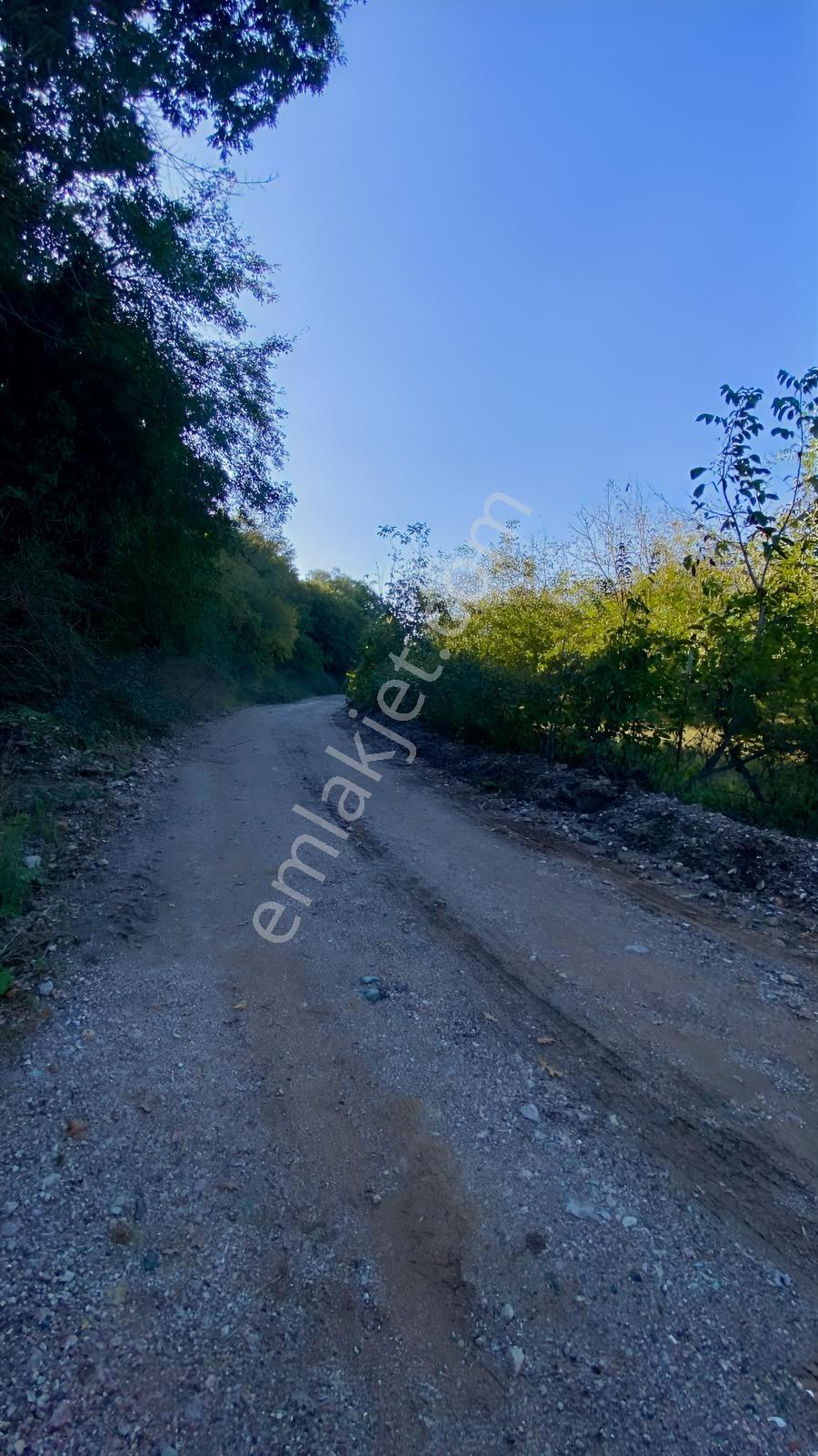 Akkayrak Köyü Satılık Bahçe — fotoğraf 15