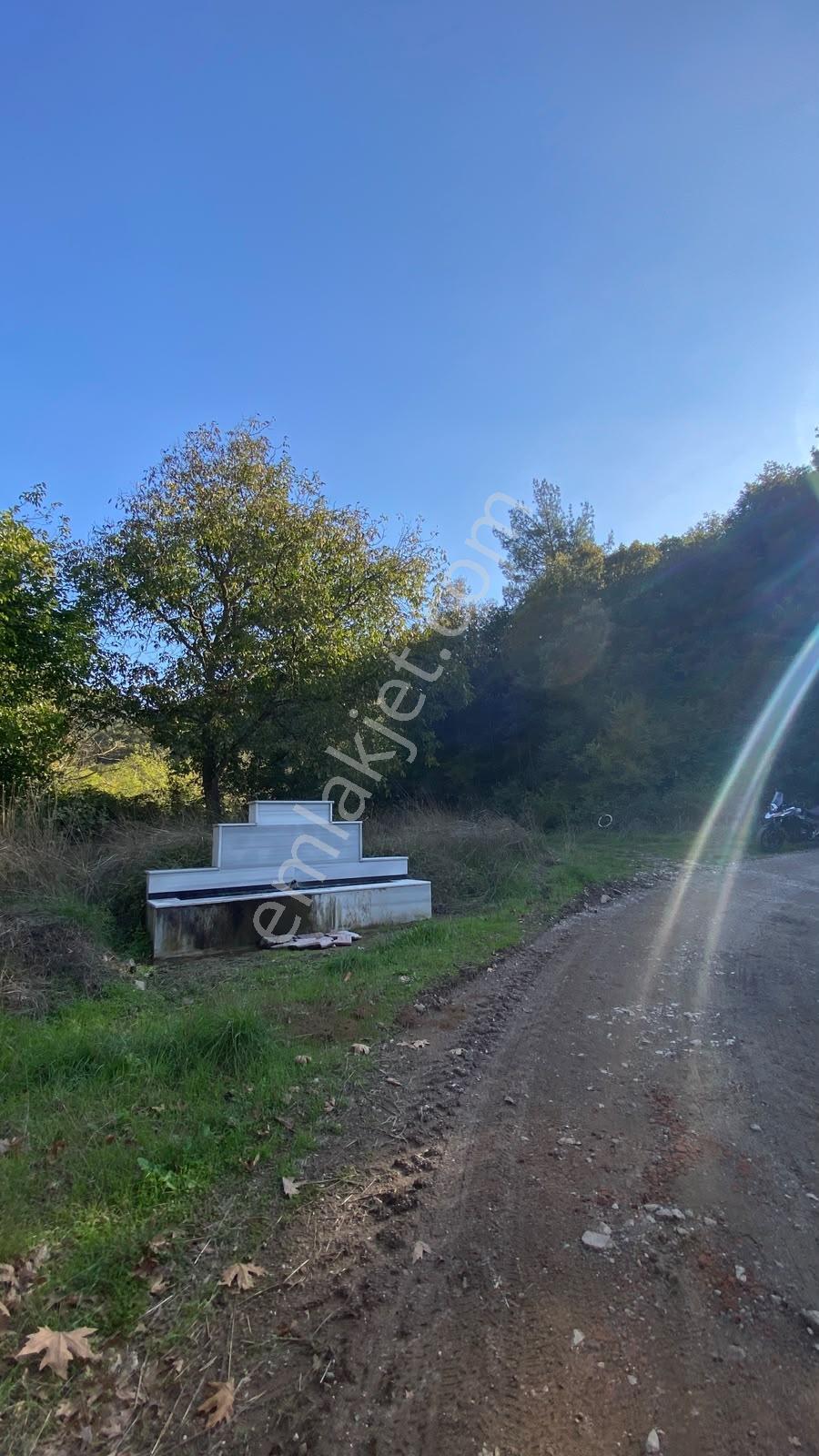 Akkayrak Köyü Satılık Bahçe — fotoğraf 18