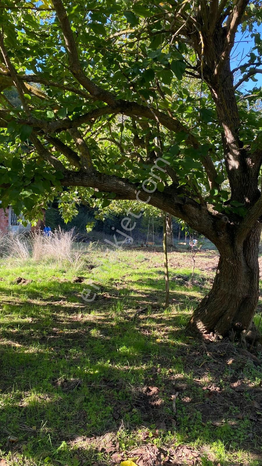 Akkayrak Köyü Satılık Bahçe — fotoğraf 21