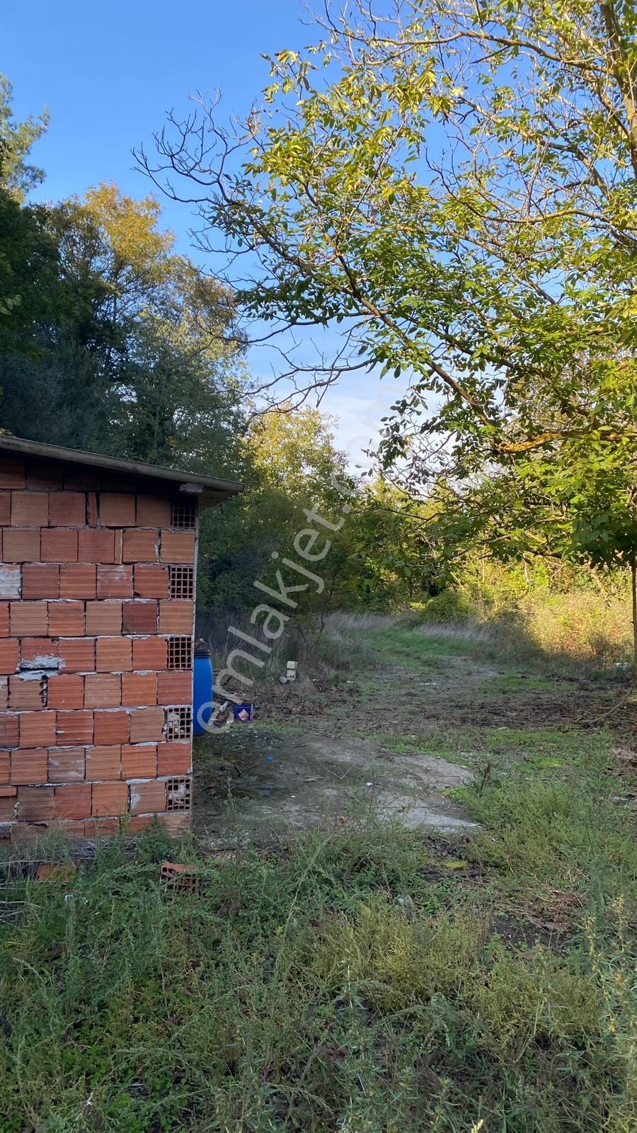Akkayrak Köyü Satılık Bahçe — fotoğraf 22