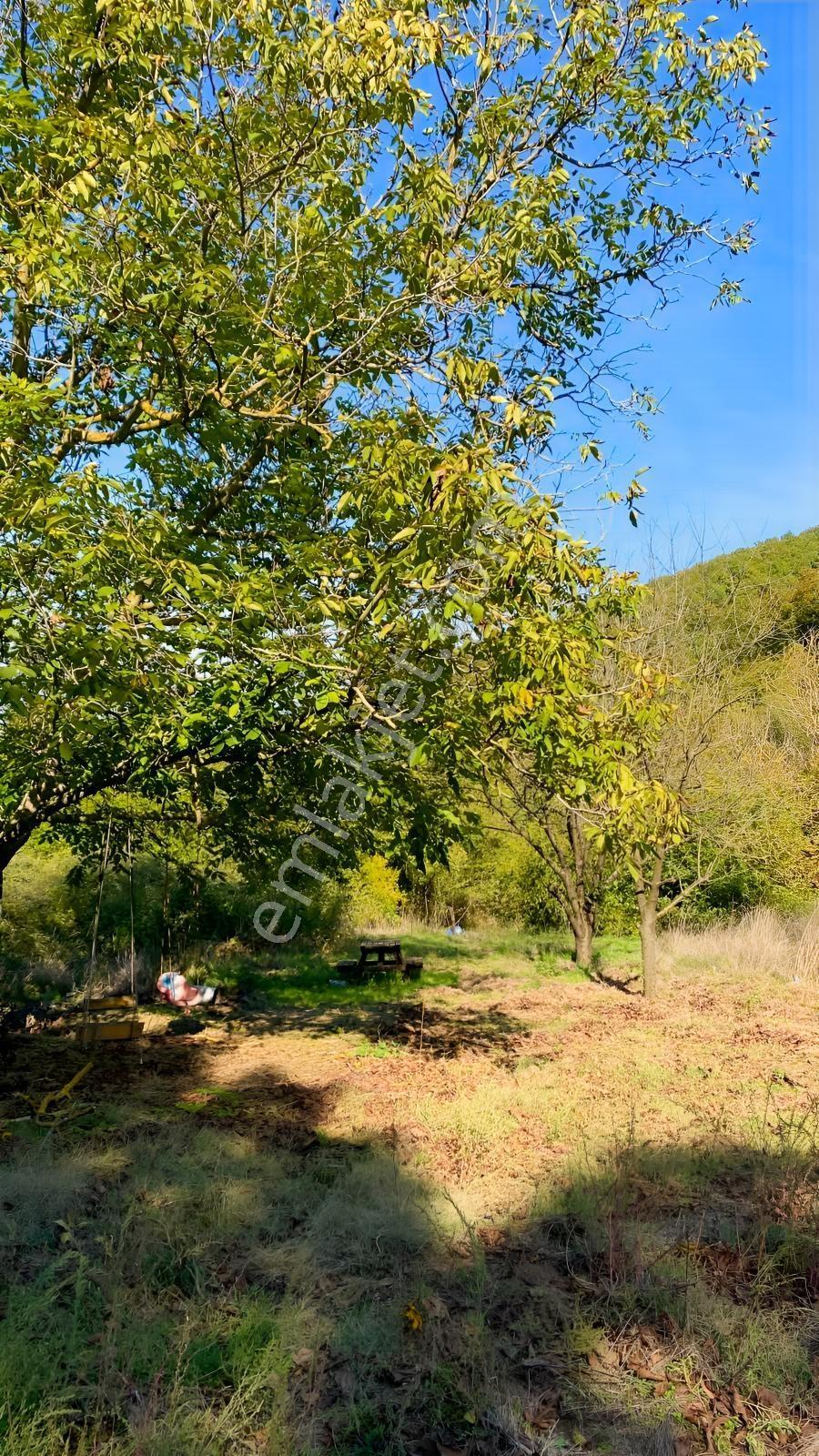 Akkayrak Köyü Satılık Bahçe — fotoğraf 23