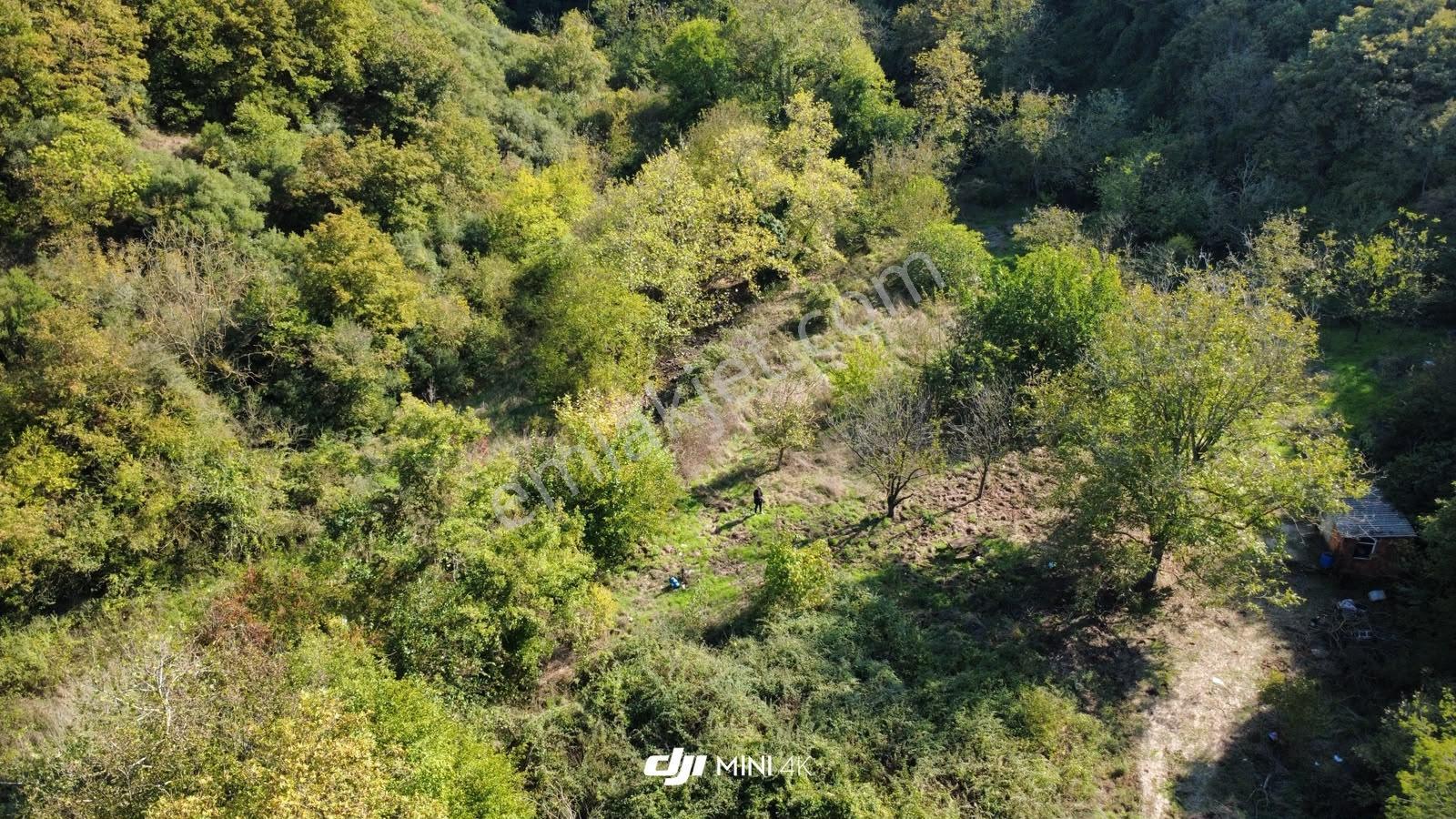 Akkayrak Köyü Satılık Bahçe — fotoğraf 24
