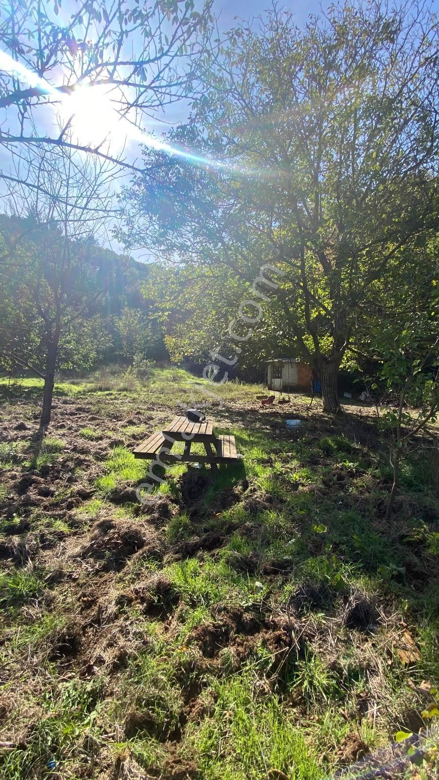 Akkayrak Köyü Satılık Bahçe — fotoğraf 26