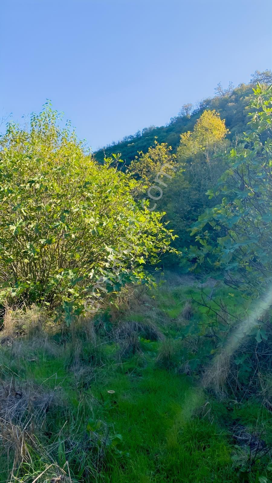 Akkayrak Köyü Satılık Bahçe — fotoğraf 27
