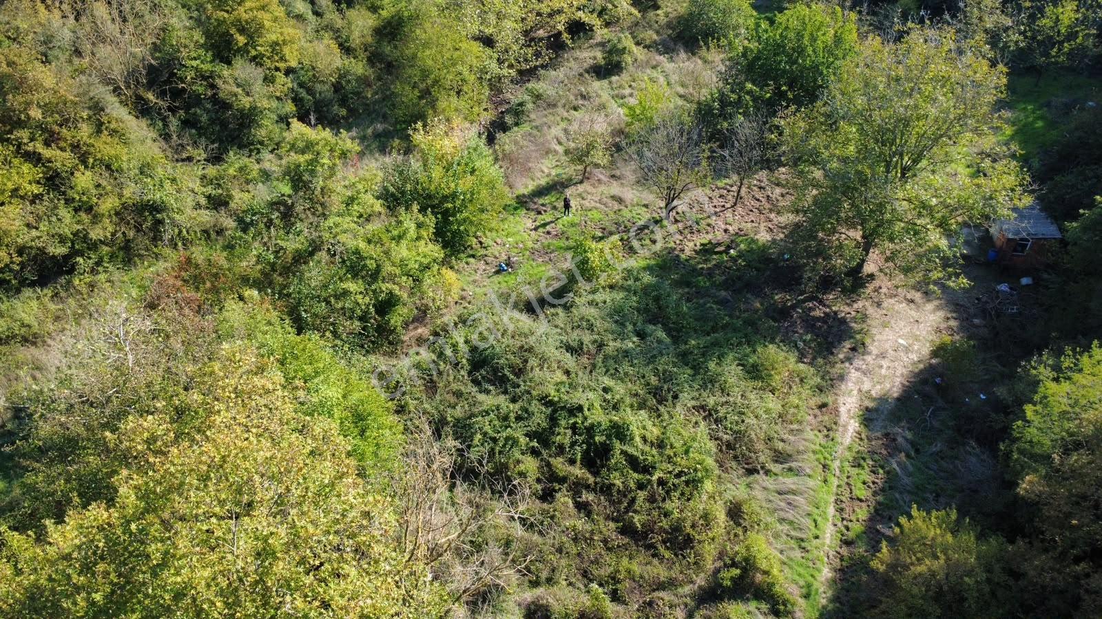 Akkayrak Köyü Satılık Bahçe — fotoğraf 28