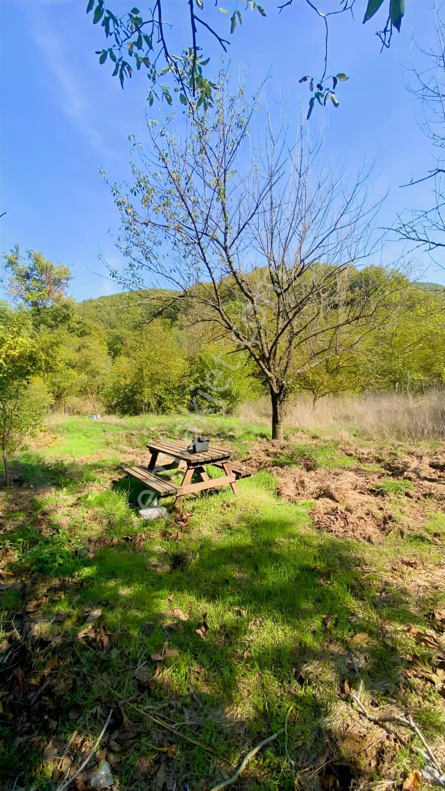 Akkayrak Köyü Satılık Bahçe — fotoğraf 30