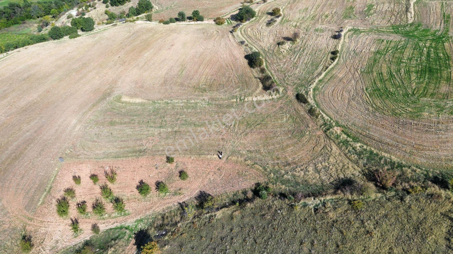 Adıyaman Zey Köyü 2372 M² Satılık Doğa Manzaralı Tarla — fotoğraf 3