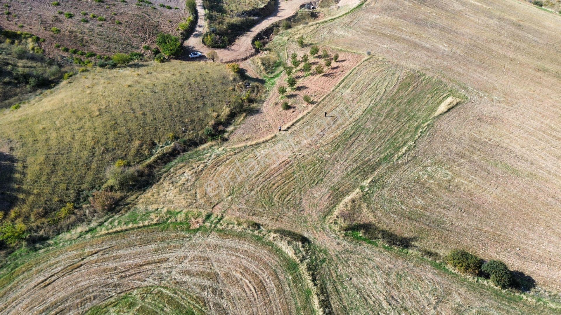 Adıyaman Zey Köyü 2372 M² Satılık Doğa Manzaralı Tarla — fotoğraf 4