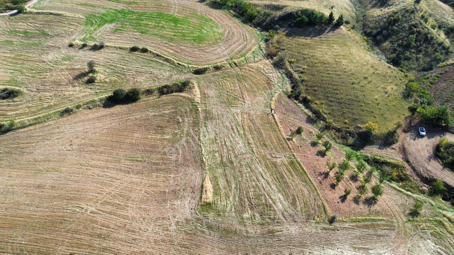 Adıyaman Zey Köyü 2372 M² Satılık Doğa Manzaralı Tarla — fotoğraf 5