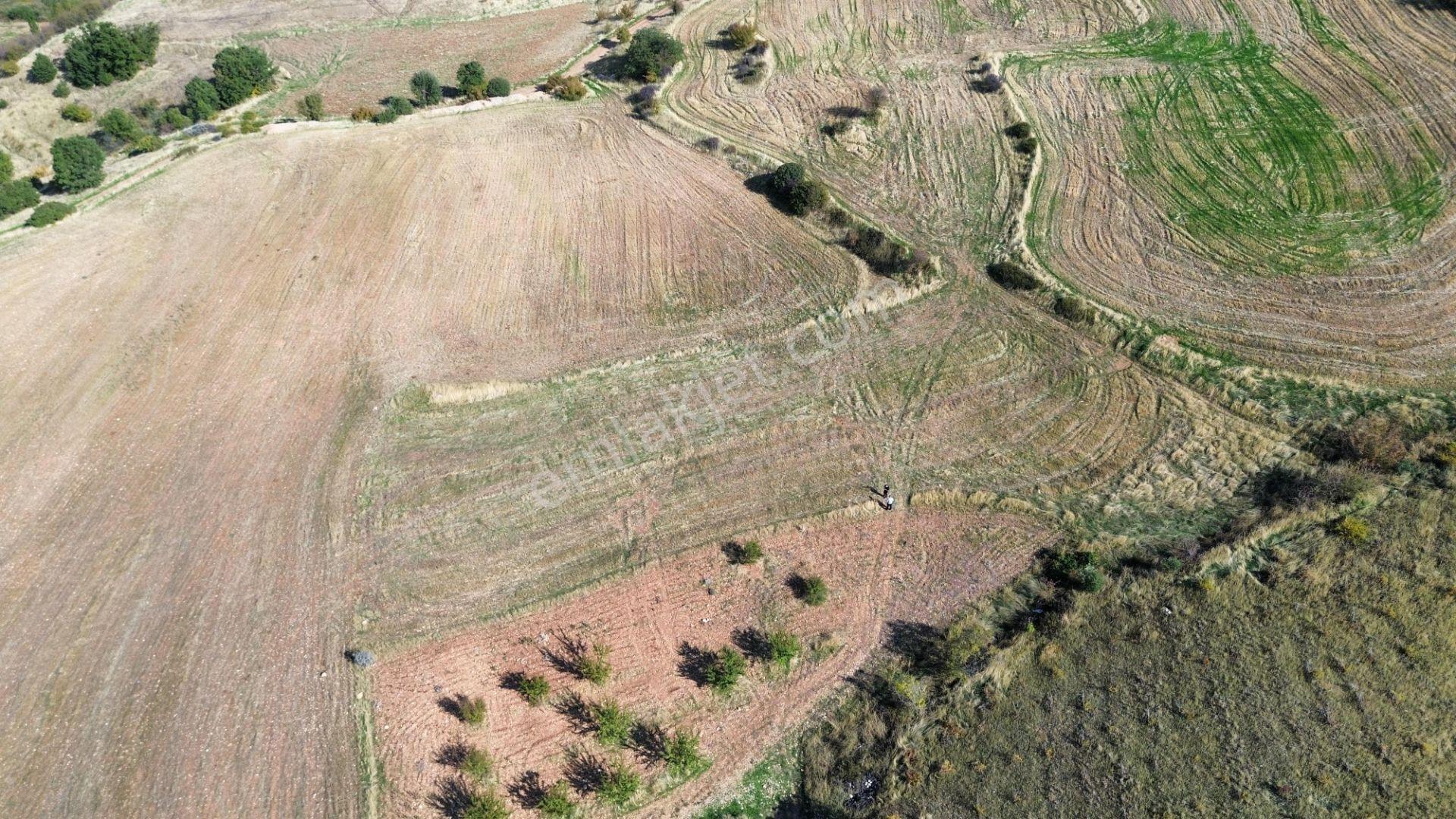 Adıyaman Zey Köyü 2372 M² Satılık Doğa Manzaralı Tarla — fotoğraf 6