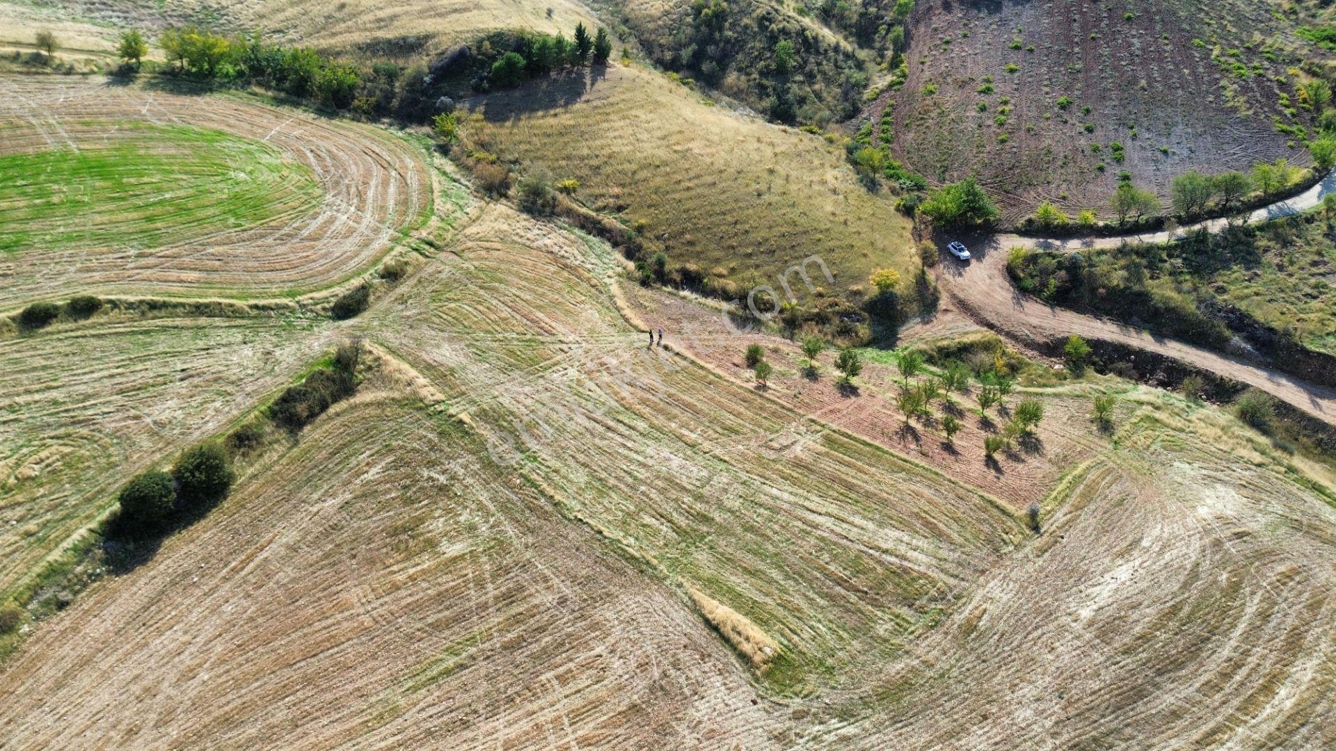 Adıyaman Zey Köyü 2372 M² Satılık Doğa Manzaralı Tarla — fotoğraf 7