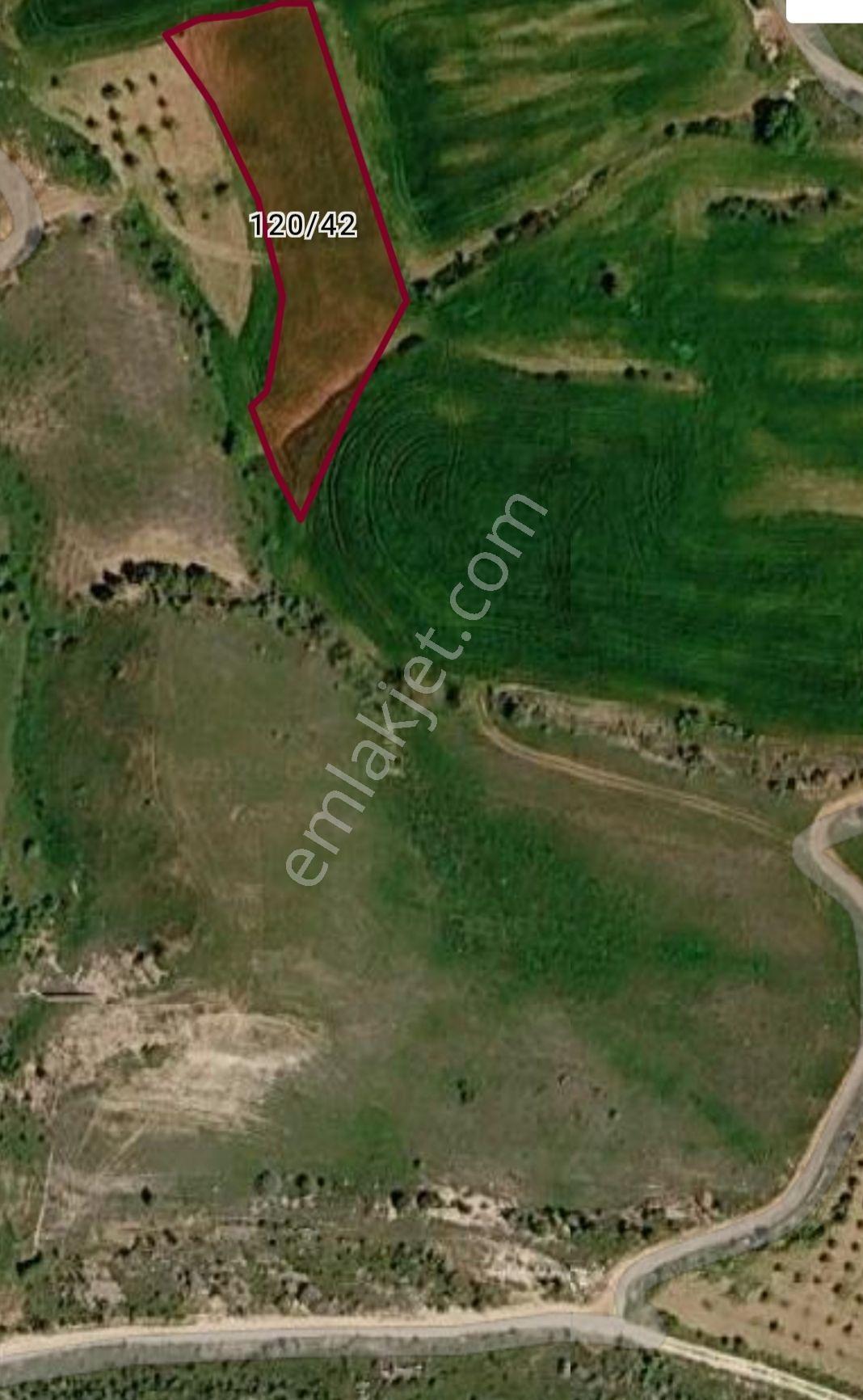 Adıyaman Zey Köyü 2372 M² Satılık Doğa Manzaralı Tarla — fotoğraf 8