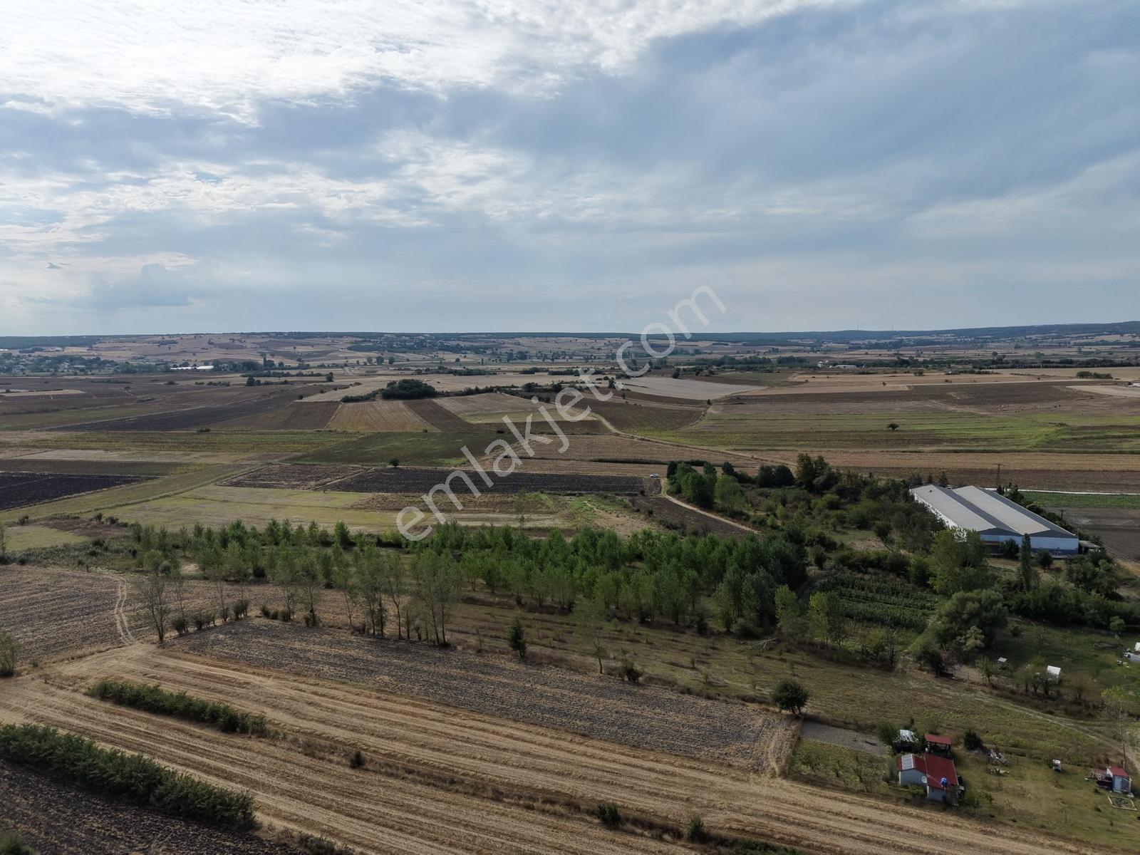 Vize Gazi Mah.içinde 250 Kavak Ağacı Olan Tek Tapu Satılık Tarla — fotoğraf 15