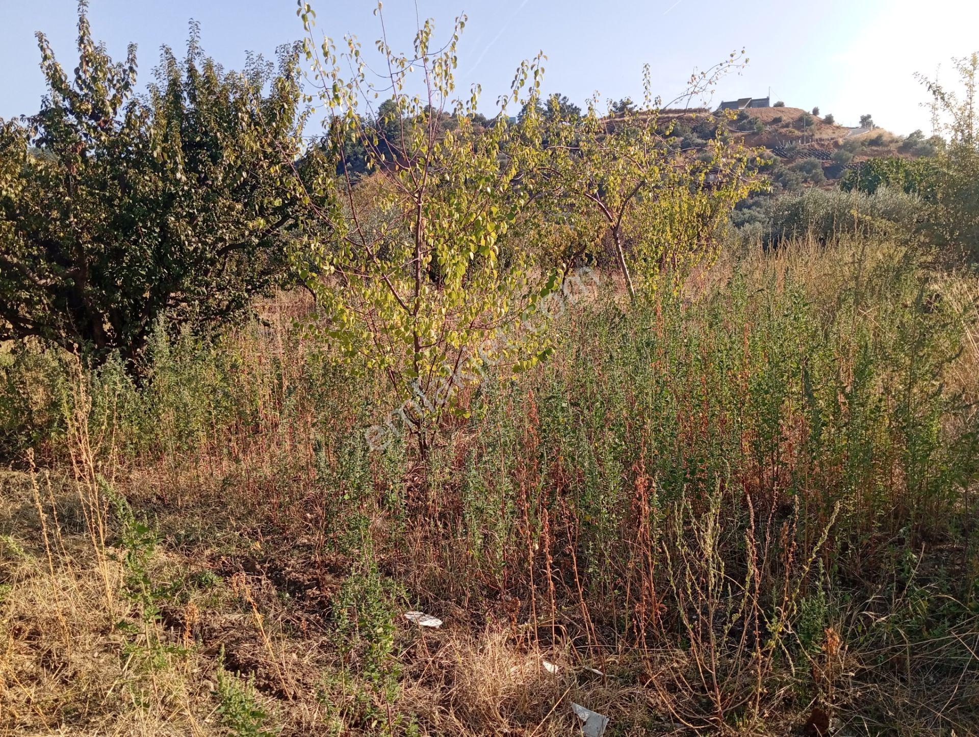 Hataş Gayrimenkul'den Irlamazda Satılık Tarla — fotoğraf 3