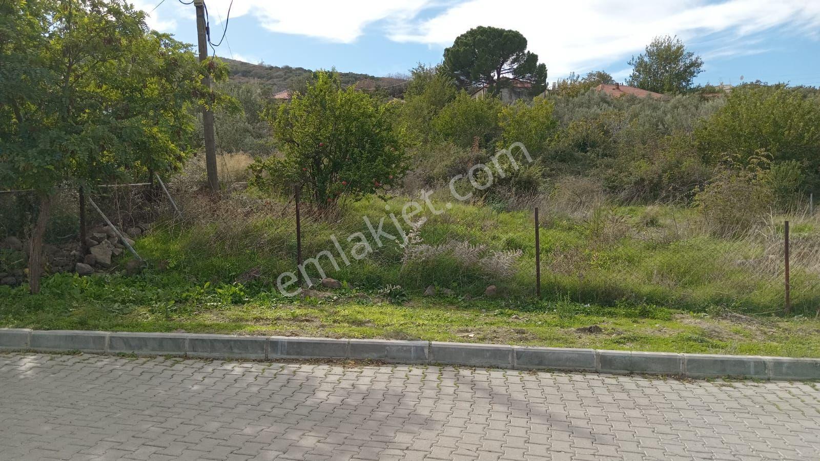 Aliağa Çıtak Köyünde Satılık Arsa — fotoğraf 8