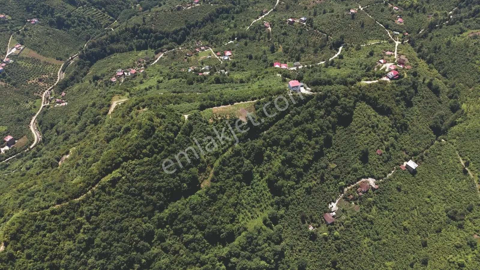 Wyrhtwtgwgew — fotoğraf 2