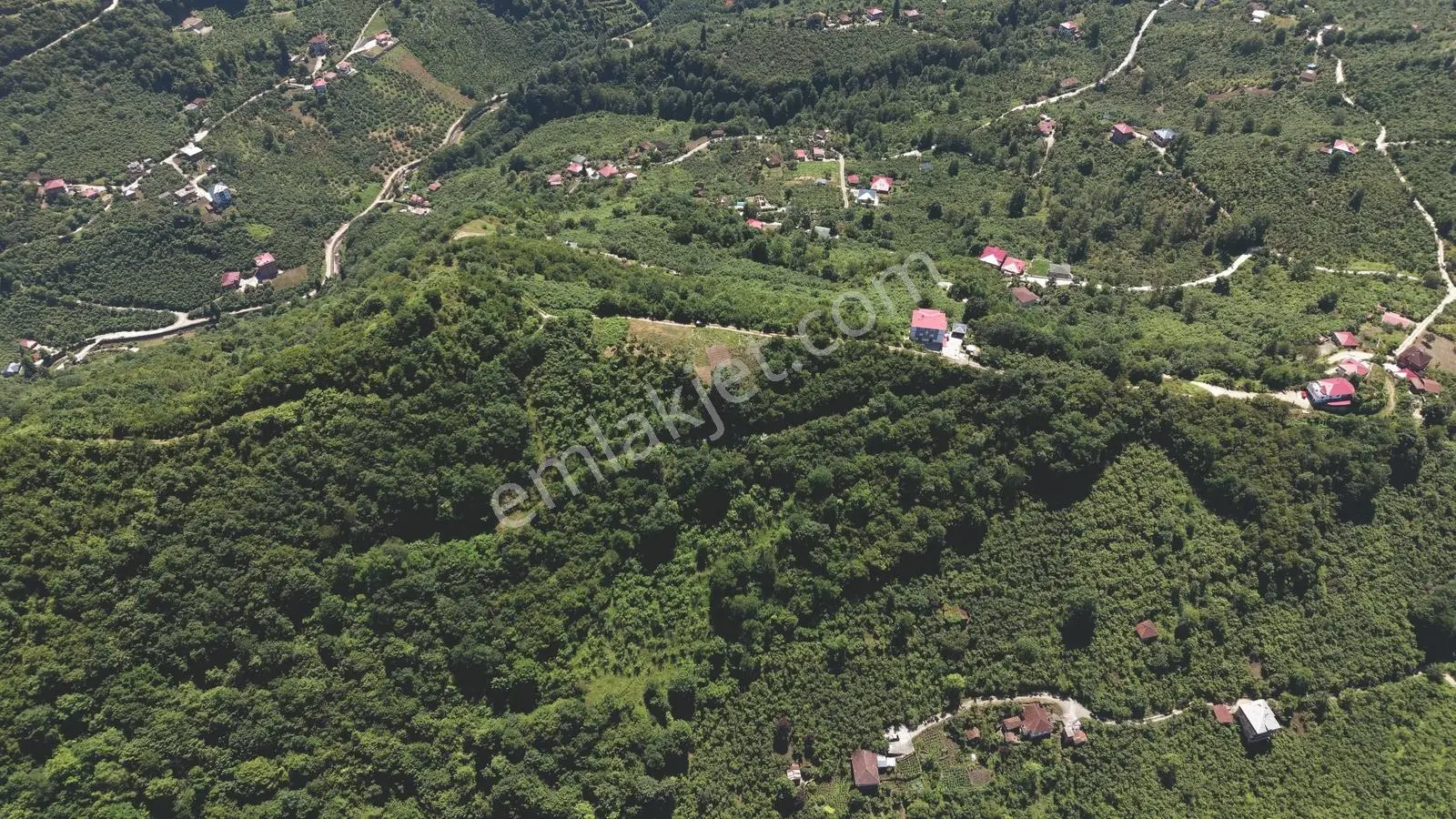 Wyrhtwtgwgew — fotoğraf 3