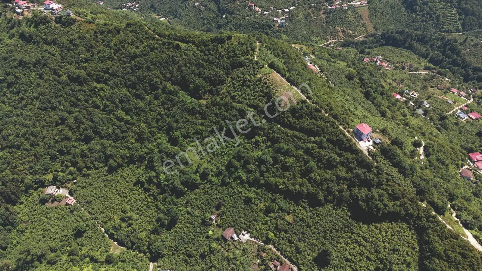 Wyrhtwtgwgew — fotoğraf 4
