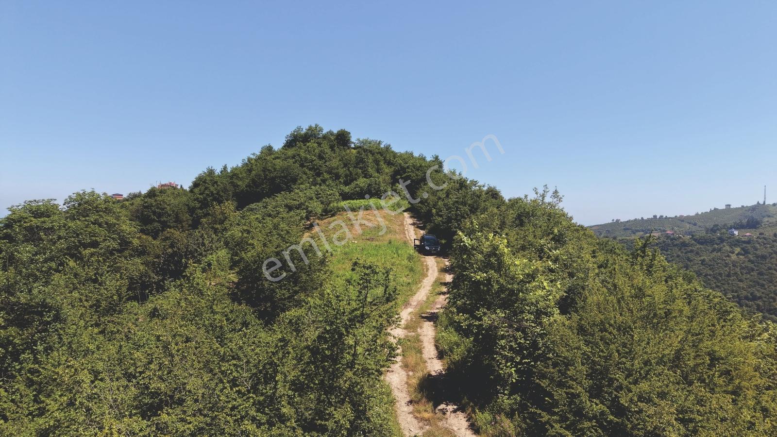 Wyrhtwtgwgew — fotoğraf 6
