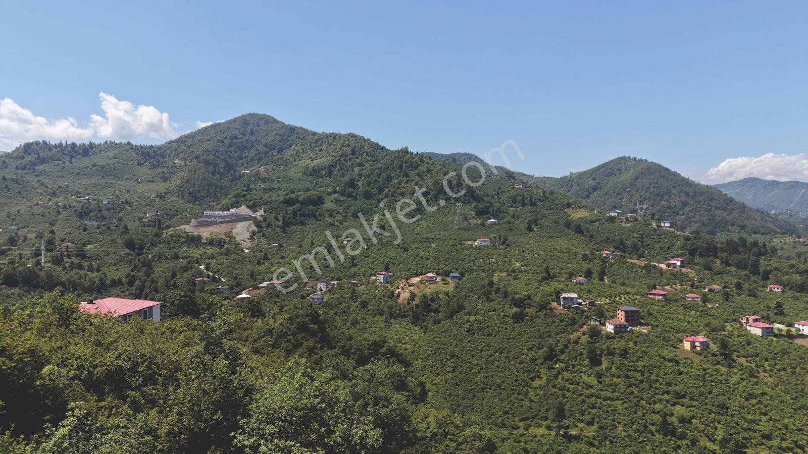 Wyrhtwtgwgew — fotoğraf 7