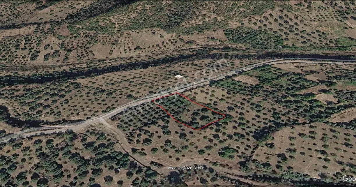 Kozdere'de Ana Yol Kenarı Zeytinlik İncirlik — fotoğraf 2